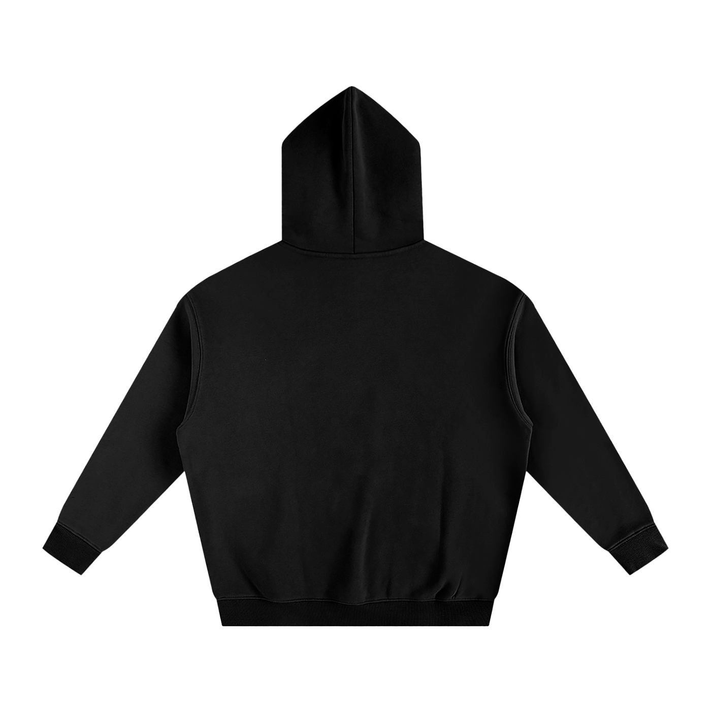 2026 Fleeced Hoodie